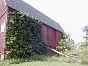 Howder Homestead Barn - Back (North) Side