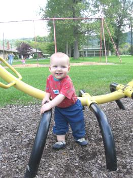 [Stewart Park]
