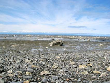 Famous Cook Inlet Tides
