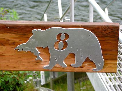 Salmon and Bears