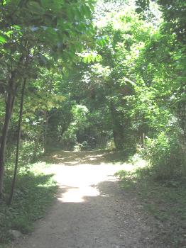 Island Trail