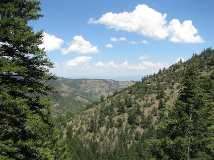 Cache National Forest