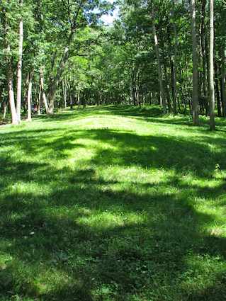 Effigy Mound