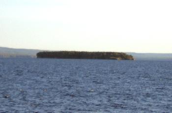Apostle Islands Rookery
