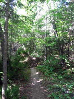 Apostle Island Hiking
