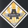 Angelic Brewing Co.