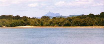 Tweed River & Mt. Warning