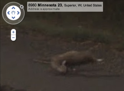 Road Kill. Screen grab from Google Street View; September 2008