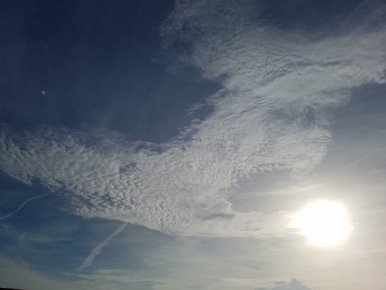 The morning of the eclipse. Photo by howderfamily.com; (CC BY-NC-SA 2.0)