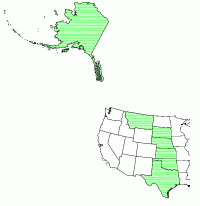 Eskimo Curlew Range map from TESS.