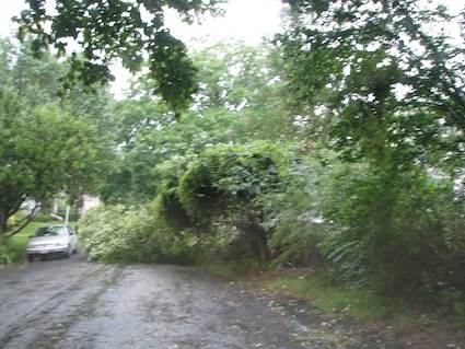 Light Damage from Hurricane Irene. Photo by howderfamily.com; (CC BY-NC-SA 2.0)