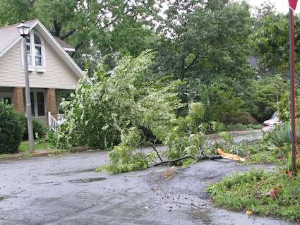 Branches Down from Hurricane Irene. Photo by howderfamily.com; (CC BY-NC-SA 2.0)