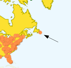 What's up with all the Mount Pearl visitors? Google Analytics screen print of howderfamily.com web traffic