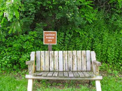 Poison Ivy Bench. Photo by howderfamily.com; (CC BY-NC-SA 2.0)