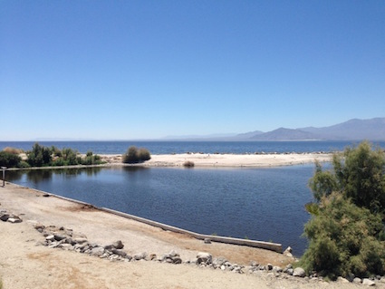 Salton Sea. Photo by "Lyn"; all rights reserved. Used with permission.