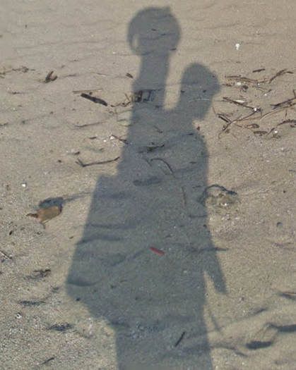 Shadow of the Street View Guy