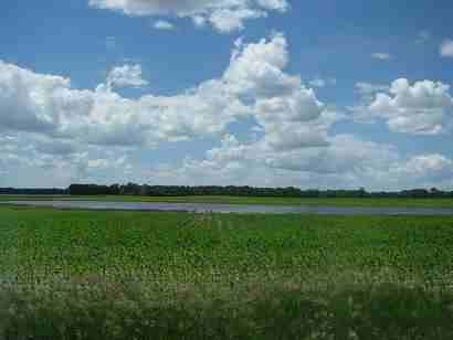 Flooded Cornfield in Jefferson County, Wisconsin. Photo by howderfamily.com; (CC BY-NC-SA 2.0)