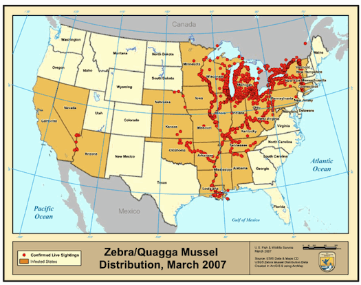 Range of Zebra and Quagga Mussels in the United States. Image by 100th Meridian Initiative