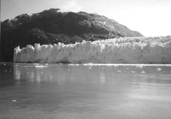 Margerie Glacier Face