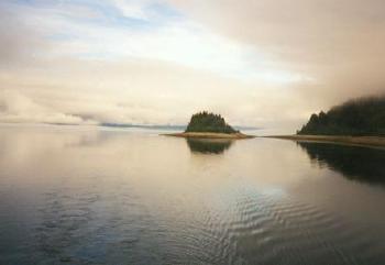 Glacier Bay Cove