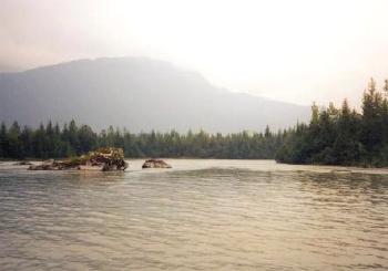 Sandy Shoreline