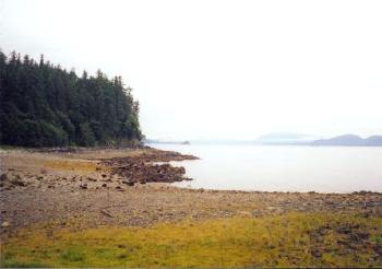 Alaska Shoreline