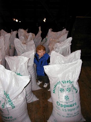 Climbing among grain sacks at Cantillon Brewery, Brussels. My own photo.