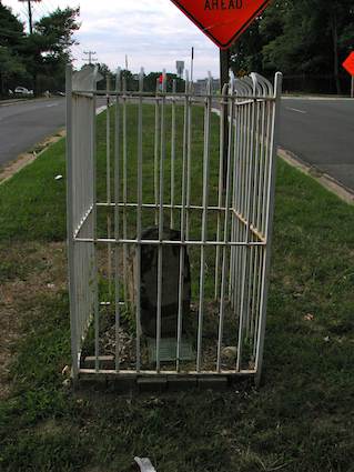 Washington DC Boundary - Stone SW6