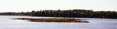An unnamed island on Font Lake, on Beaver Island, on Lake Michigan. Photo by howderfamily.com; (CC BY-NC-SA 2.0)