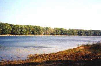 Beaver Island - Fox Lake