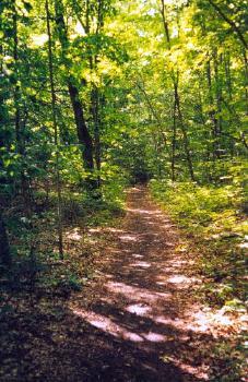 Beaver Island - Hiking Trail