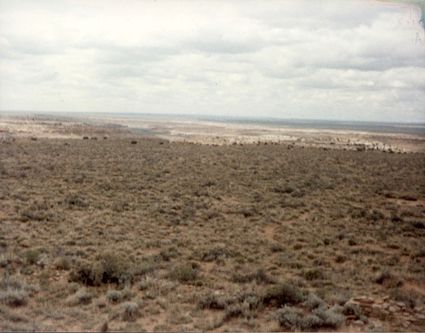 Southwestern Mesa