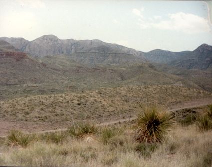 Desert Scenery at Big Bend