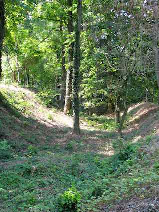 Fort Moat or Ditch