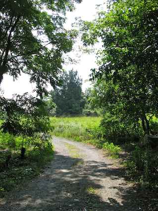 Walking Trail