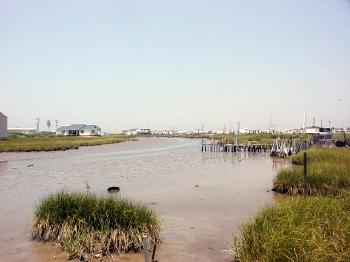 Tangier Marsh