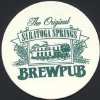 Original Saratoga Springs Brewpub